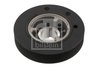 FULIE ARBORE COTIT / VIBROCHEN FEBI BILSTEIN 31102 - Compatibil cu CITROEN, FIAT, PEUGEOT