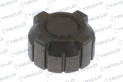 BUSON VAS EXPANSIUNE TRICLO 311349 - Compatibil cu ABARTH, ALFA ROMEO, AUDI, AUSTIN, AUTOBIANCHI, CITROEN, DACIA, DAIHATSU, FIAT