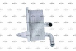 RADIATOR ULEI / TERMOFLOT NRF 31205 - Compatibil cu AUDI, VW