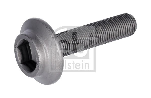 Surub Febi Bilstein 31324