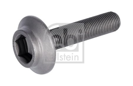 Surub Febi Bilstein 31324
