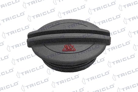 BUSON VAS EXPANSIUNE TRICLO 313326 - Compatibil cu AUDI, AUSTIN, AUTOBIANCHI, BENTLEY, BMW, BUICK, CHEVROLET, CITROEN, DAEWOO, F