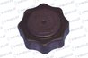 BUSON VAS EXPANSIUNE TRICLO 313339 - Compatibil cu ALFA ROMEO, DACIA, FIAT, HONDA, LANCIA, LAND ROVER, MG, MINI, NISSAN, OPEL, P