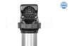 Bobina de inductie Meyle 314 885 0013