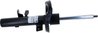 Amortizor SACHS 315 469