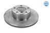DISC FRANA MEYLE 315 521 3019 - Compatibil cu BMW