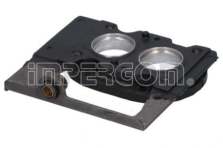 FLANSA CARBURATOR IMPERGOM 31513 - Compatibil cu RENAULT