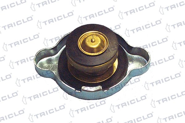Buson radiator Triclo 316427