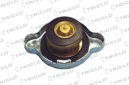 Buson radiator Triclo 316427