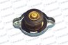 Buson radiator Triclo 316427