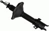 Amortizor SACHS 317 165