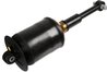 Amortizor SACHS 317 325