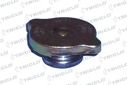 Buson radiator Triclo 318001