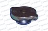 BUSON RADIATOR TRICLO 318001 - Compatibil cu ACURA, ALFA ROMEO, ASIA MOTORS, AUSTIN, BERTONE, BMW, CHEVROLET, CHRYSLER, CITROEN,
