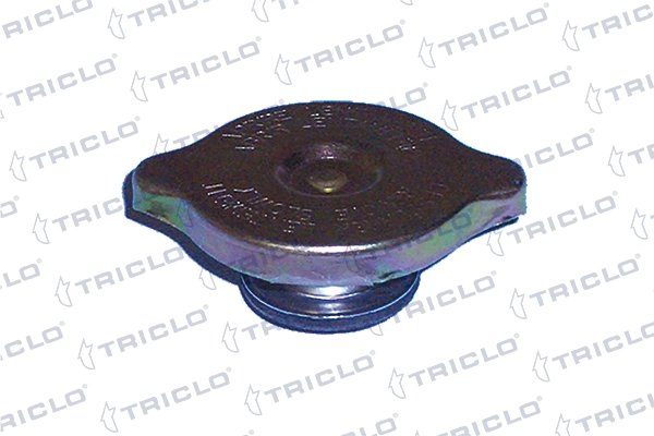 BUSON VAS EXPANSIUNE TRICLO 318070 - Compatibil cu ALFA ROMEO, AUDI, AUSTIN, AUSTIN-HEALEY, BMW, CITROEN, DAIMLER, FIAT, FORD, J