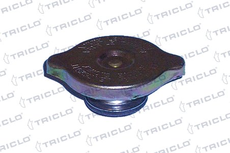 BUSON VAS EXPANSIUNE TRICLO 318070 - Compatibil cu ALFA ROMEO, AUDI, AUSTIN, AUSTIN-HEALEY, BMW, CITROEN, DAIMLER, FIAT, FORD, J