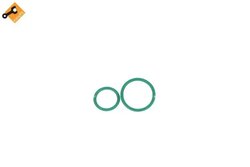 Compresor climatizare NRF 320026