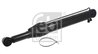 Cilindru basculare cabina sofer Febi Bilstein 33953