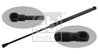 Amortizor portbagaj Febi Bilstein 34113
