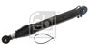 Cilindru basculare cabina sofer Febi Bilstein 34243