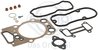 SET GARNITURI CHIULASA ELRING 346.420 - Compatibil cu SCANIA