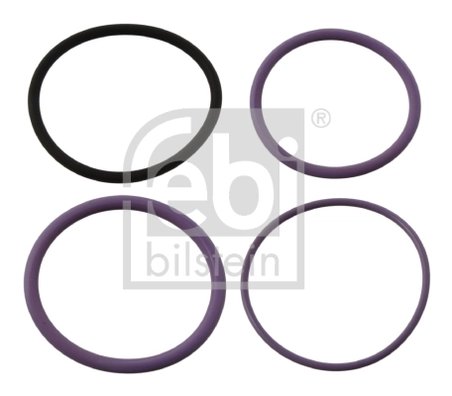 Set garnituri etansare, injectoare Febi Bilstein 35200