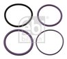 Set garnituri etansare, injectoare Febi Bilstein 35200