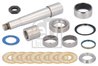 Set reparatie pivot Febi Bilstein 39120