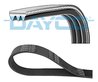 Curea transmisie Dayco 3PK736