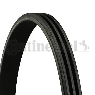 Curea transmisie CONTINENTAL 3PK905