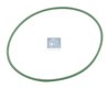 O-RING, CAMASA CILINDRU DT SPARE PARTS 4.20157 - Compatibil cu FENDT, INBUS, MAN, MERCEDES-BENZ