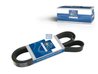 Curea transmisie DT Spare Parts 4.80707