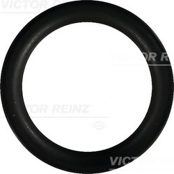 GARNITURA GALERIE ADMISIE VICTOR REINZ 40-76246-00 - Compatibil cu CITROEN, FORD, FORD ASIA & OCEANIA, FORD USA, MAZDA, PEUGEOT,