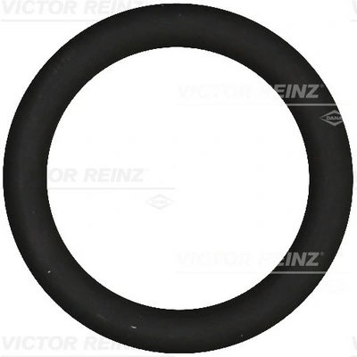 Garnitura galerie admisie Victor Reinz 40-76919-00