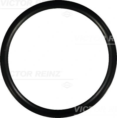 Garnitura galerie admisie Victor Reinz 40-76752-00