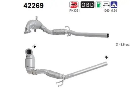 Catalizator AS 42269