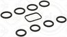 Set garnituri galerie admisie Elring 429.040