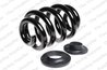 ARC SUSPENSIE LESJOFORS 4295070 - Compatibil cu VW