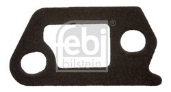 Garnitura, flansa lichid racire Febi Bilstein 43650