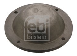 CAPAC DE PROTECTIE,BUTUC ROATA FEBI BILSTEIN 43768 - Compatibil cu DAF