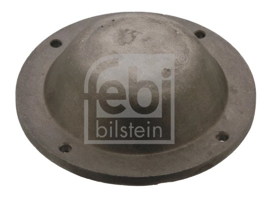 capac de protectie,butuc roata Febi Bilstein 43768