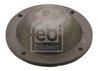 capac de protectie,butuc roata Febi Bilstein 43768