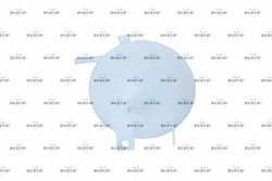 VAS EXPANSIUNE LICHID RACIRE NRF 454011 - Compatibil cu FORD