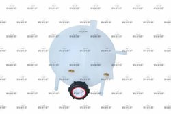 VAS EXPANSIUNE LICHID RACIRE NRF 454011 - Compatibil cu FORD