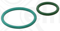 Set garnituri pompa injectie Elring 455.290