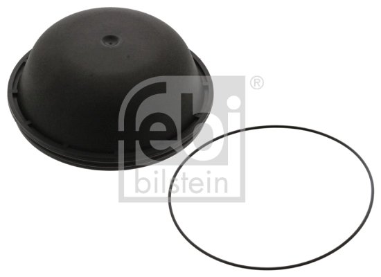 capac de protectie,butuc roata Febi Bilstein 46134