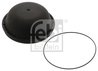 capac de protectie,butuc roata Febi Bilstein 46134