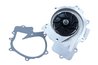 Pompa de apa Maxgear 47-0264