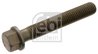SURUB, SUPORT INJECTOR FEBI BILSTEIN 47891 - Compatibil cu DAF, GINAF