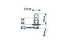 Bec, far faza lunga Narva 483213000